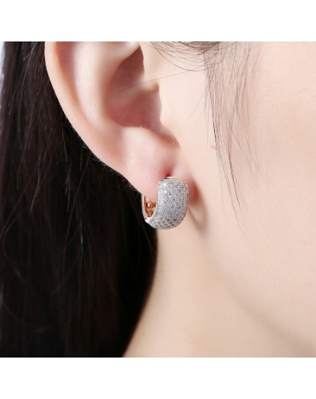 Single Row Diamond Studded Romantic Style Earrings